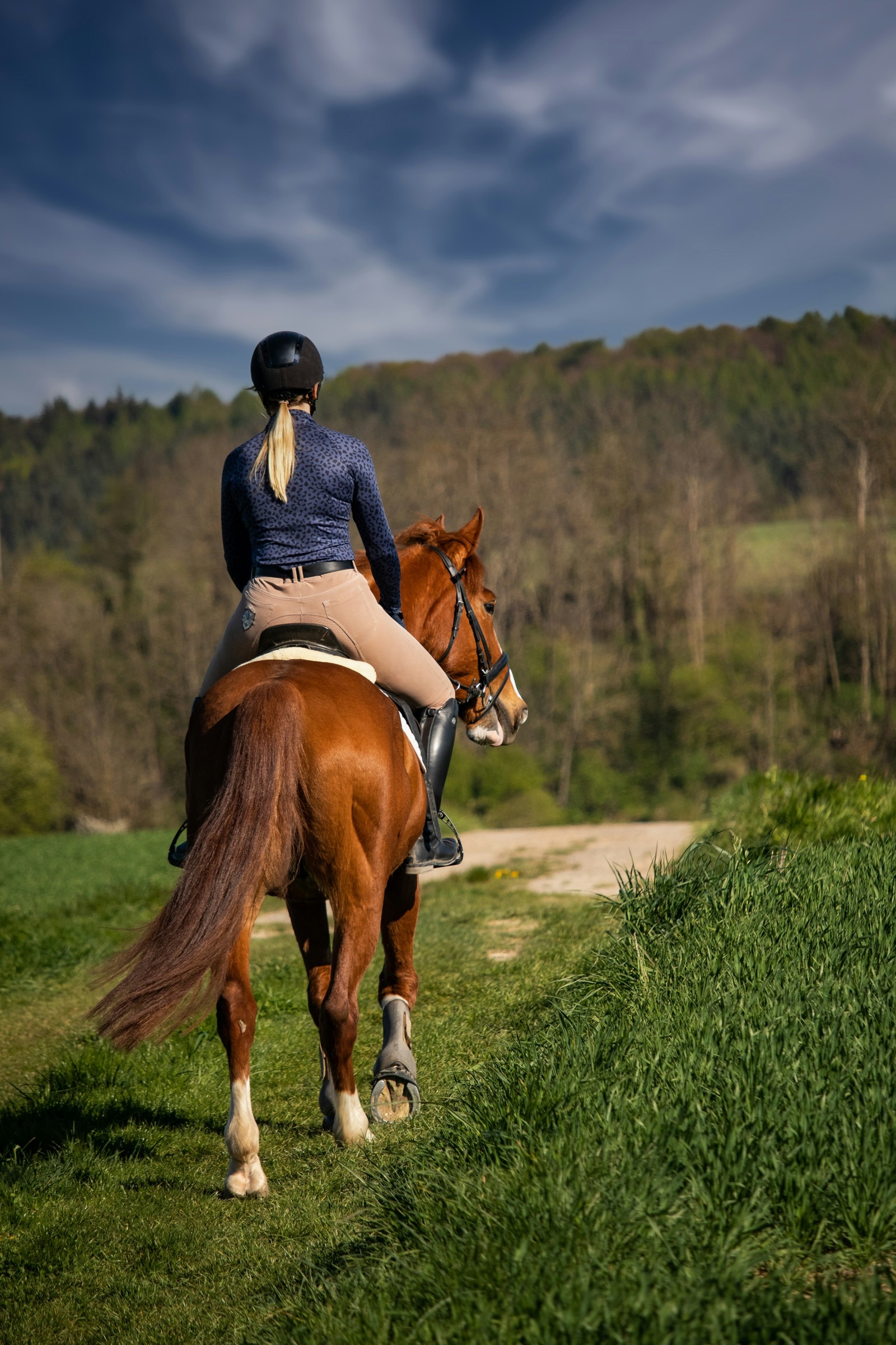 A helmeted rider hacking a brown horse through open countryside